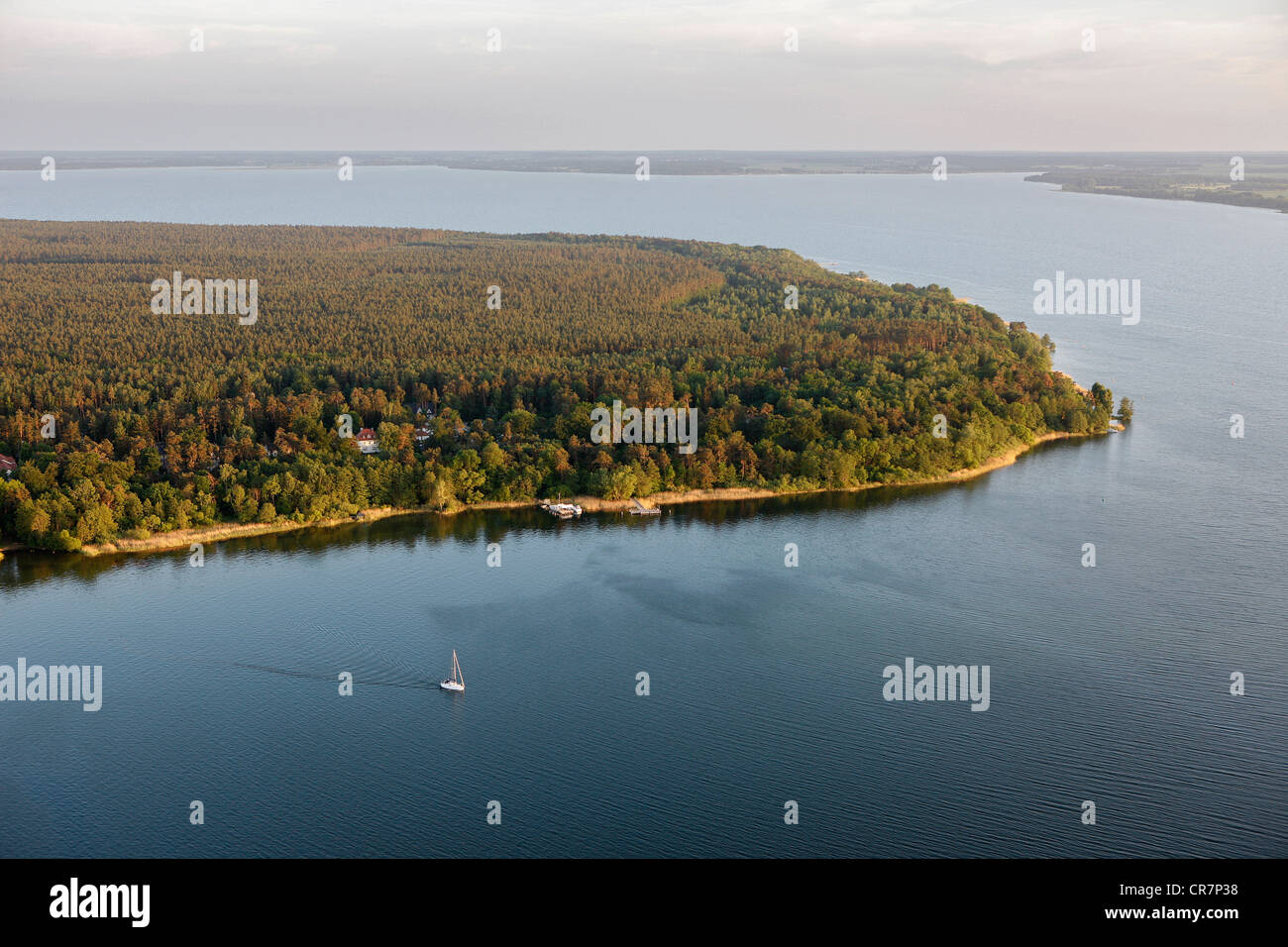 Luftaufnahme, Buchenwälder im Müritz-Nationalpark Nationalpark, UNESCO-Weltkulturerbe seit 2011 Waren Stockfoto