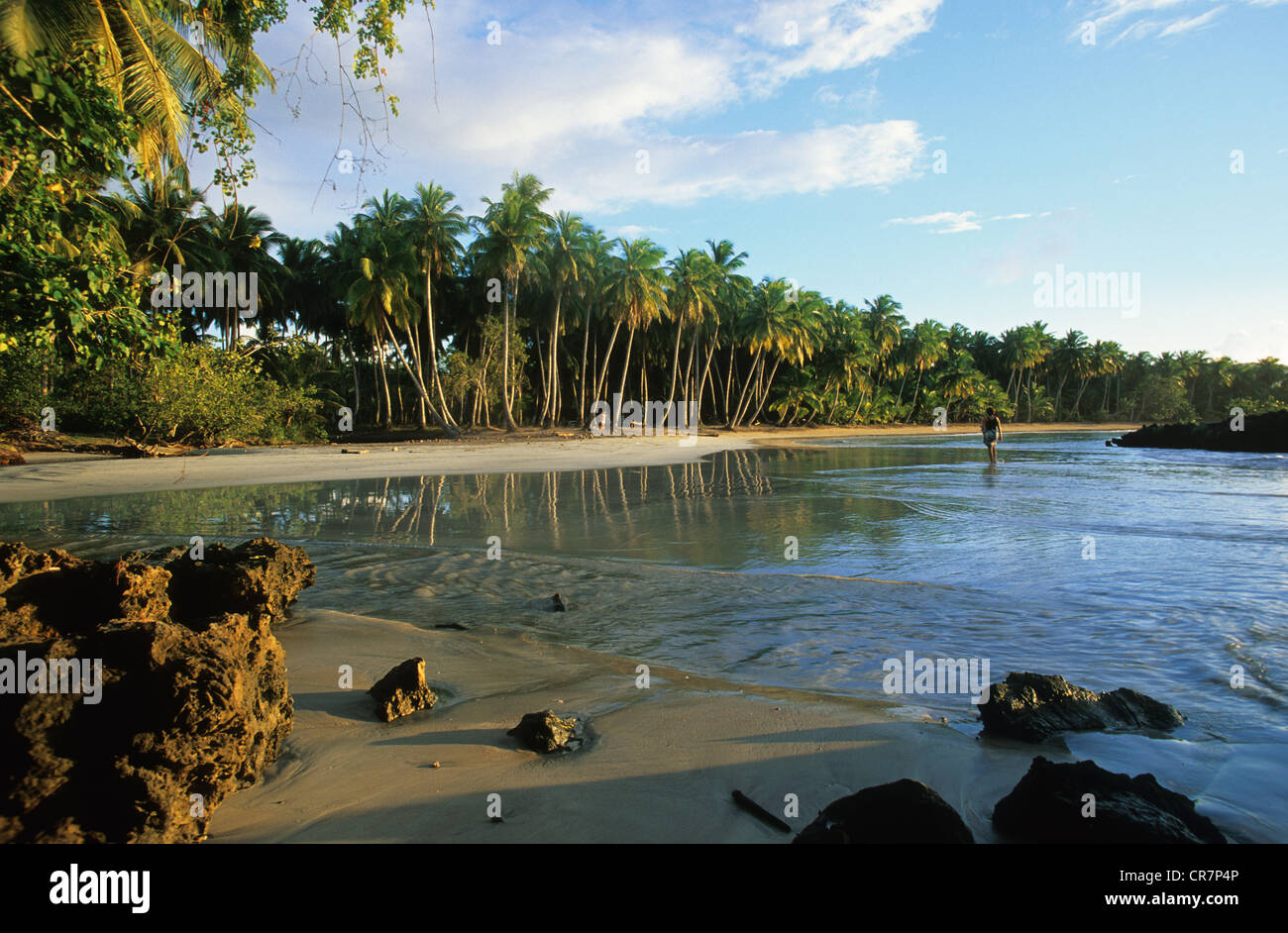 Dominikanische Republik, Halbinsel Samana, Las Terrenas, Bonita beach Stockfoto