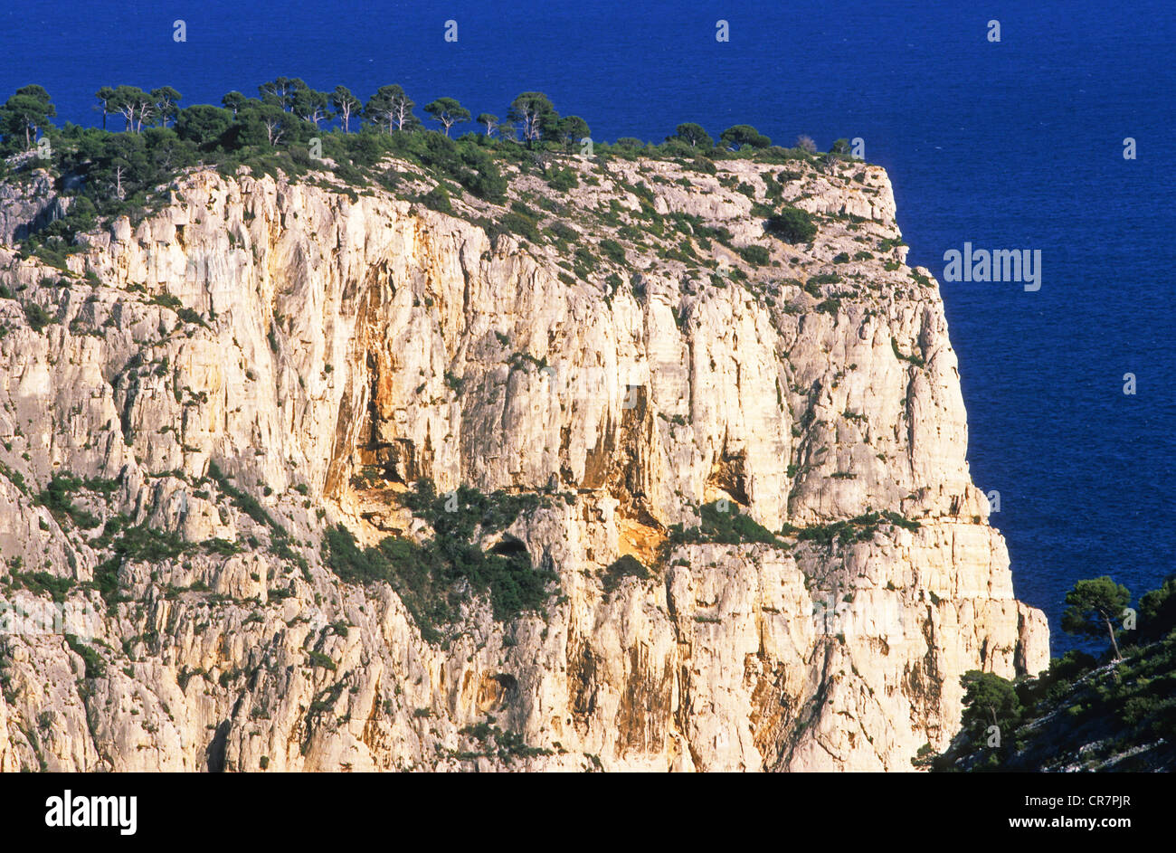 Europäische Hauptstadt der Kultur 2013, Massif des Calanques, Castelvieil Plateau von Oule Pass, Marseille, Bouches-du-Rhône, Frankreich Stockfoto