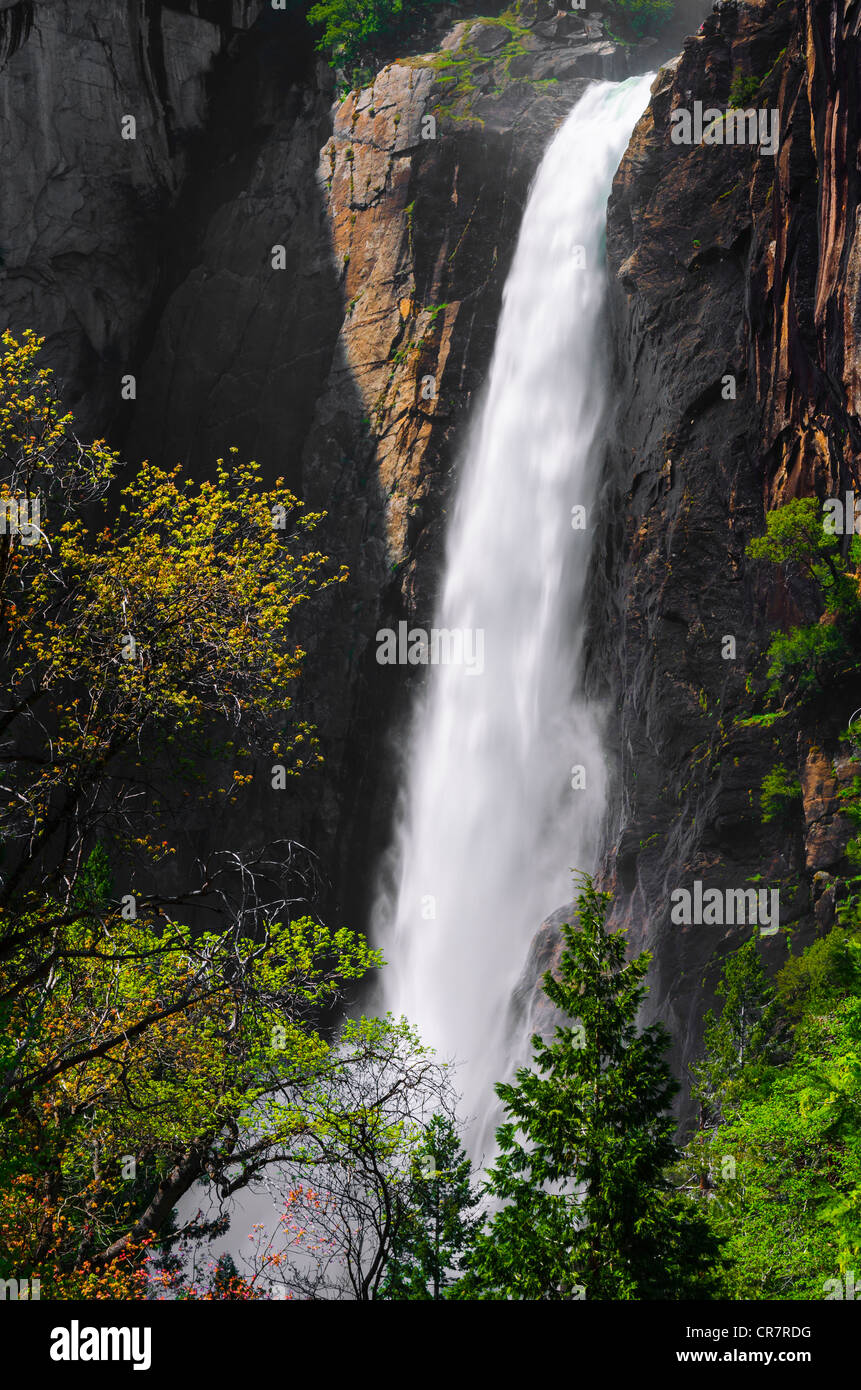 Lower Yosemite Falls, Yosemite-Nationalpark, Kalifornien USA Stockfoto