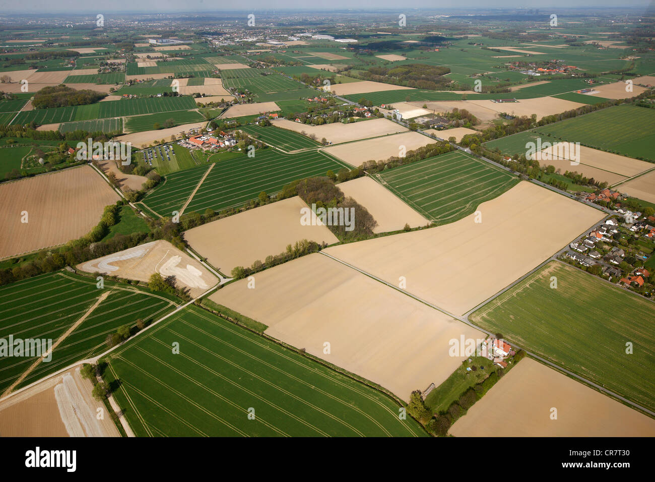 Luftbild, Felder, Landwirtschaft im Frühjahr, Haus Kump, Hamm, Ruhrgebiet, Nordrhein-Westfalen, Deutschland, Europa Stockfoto