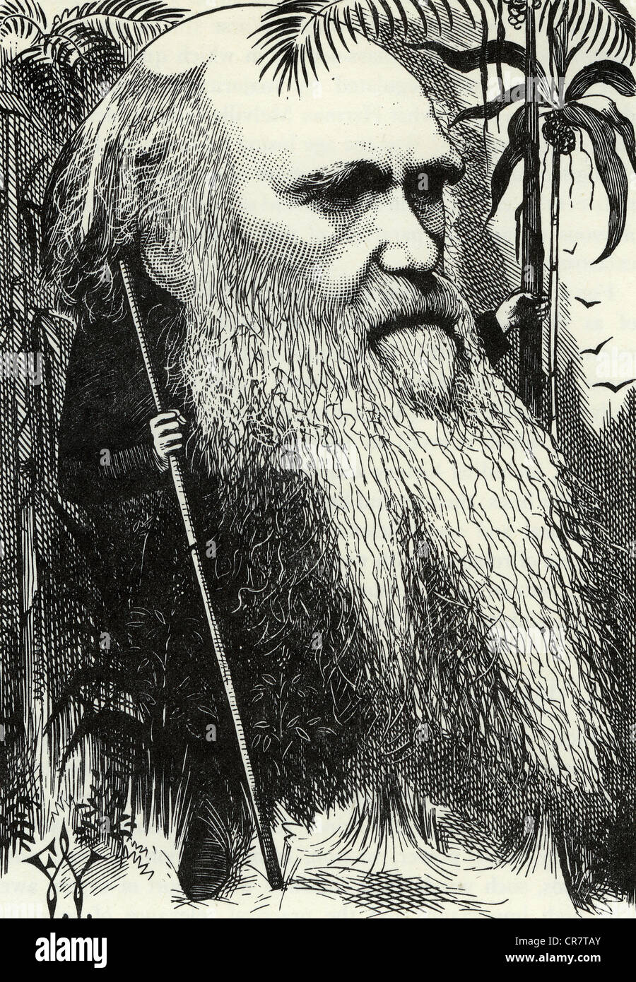 Englische Biologe CHARLES DARWIN (1809-1882) in einen 1881-cartoon Stockfoto