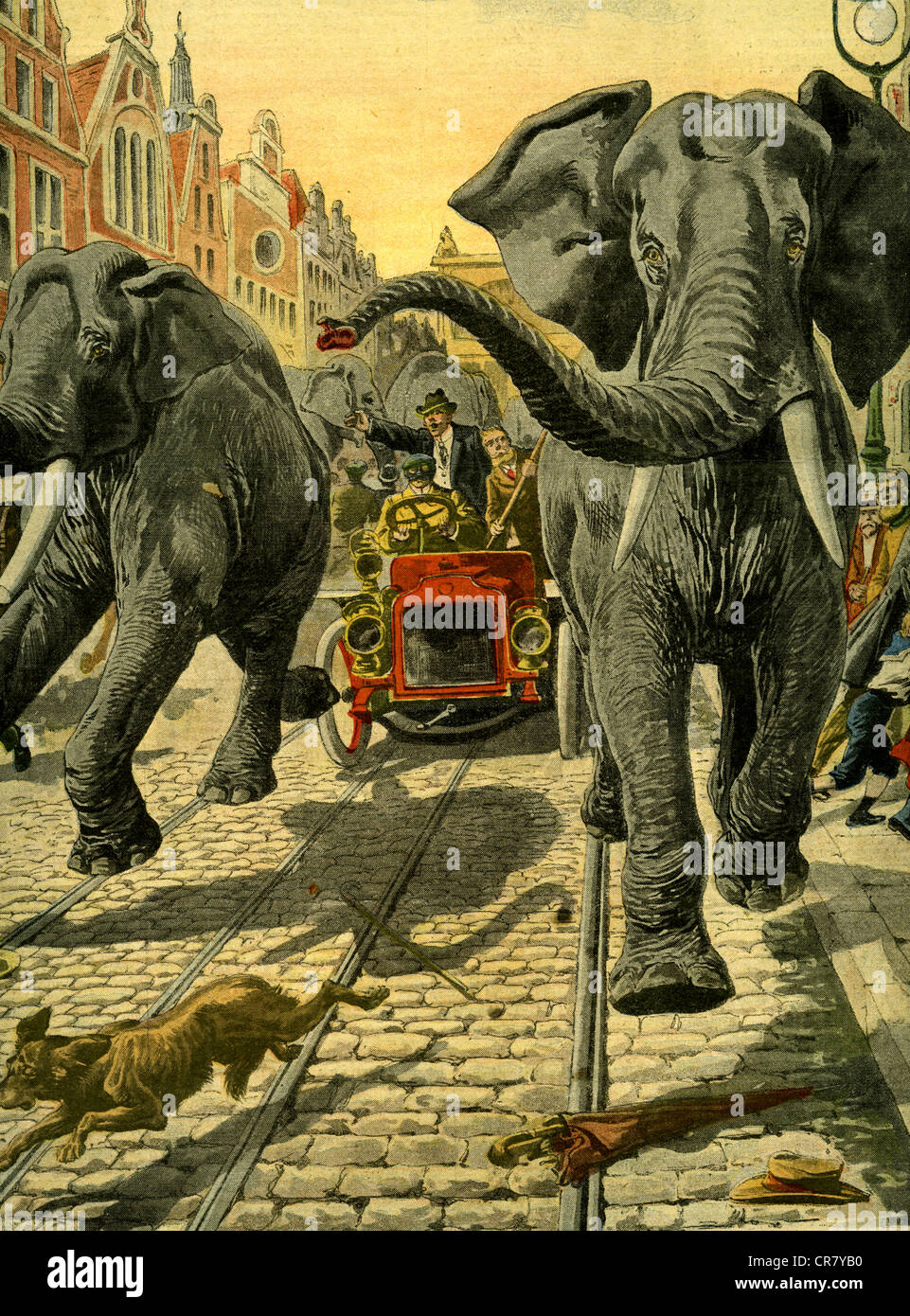Elefantenbilder Zum Ausdrucken Stockfotos Und Bilder Kaufen Alamy