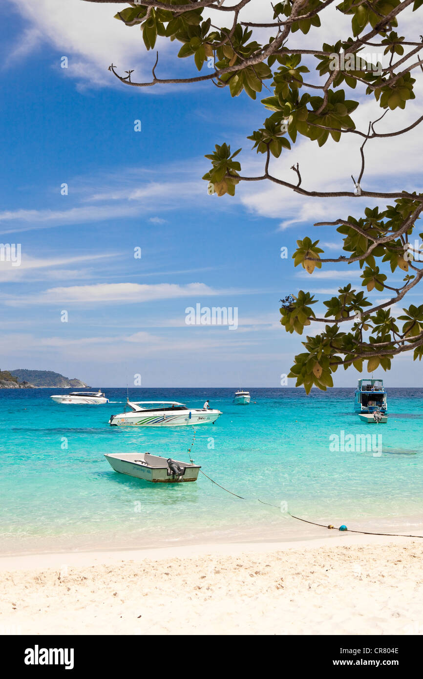 Thailand, nach Norden bis der Andamanküste, Similan Marine Nationalpark, Insel n ° 8 Stockfoto