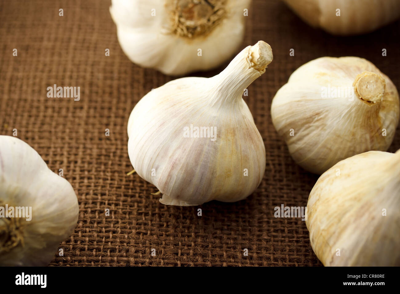 Knoblauch ganz Stockfoto