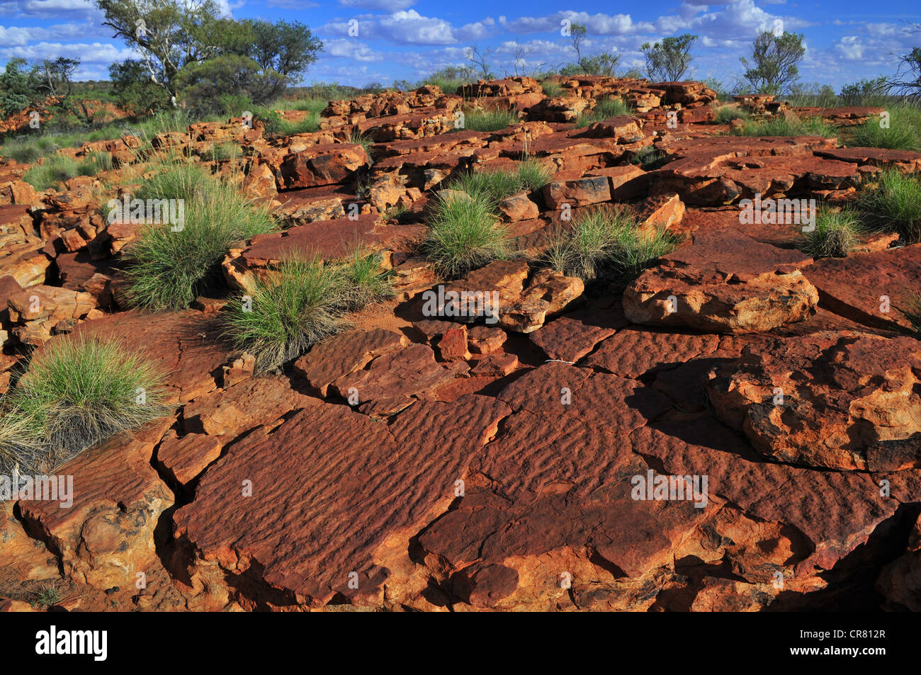 Australien, Northern Territory, Luritja Aborigines Heiligtum im Watarrka National Park, George Gill Reihe Hügel zwischen Königen Stockfoto