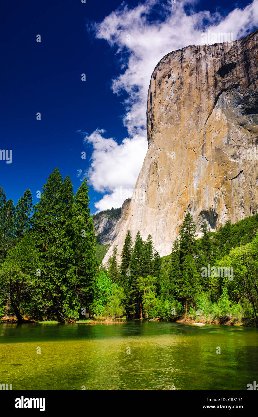El Capitan über dem Merced River, Yosemite-Nationalpark, Kalifornien USA Stockfoto