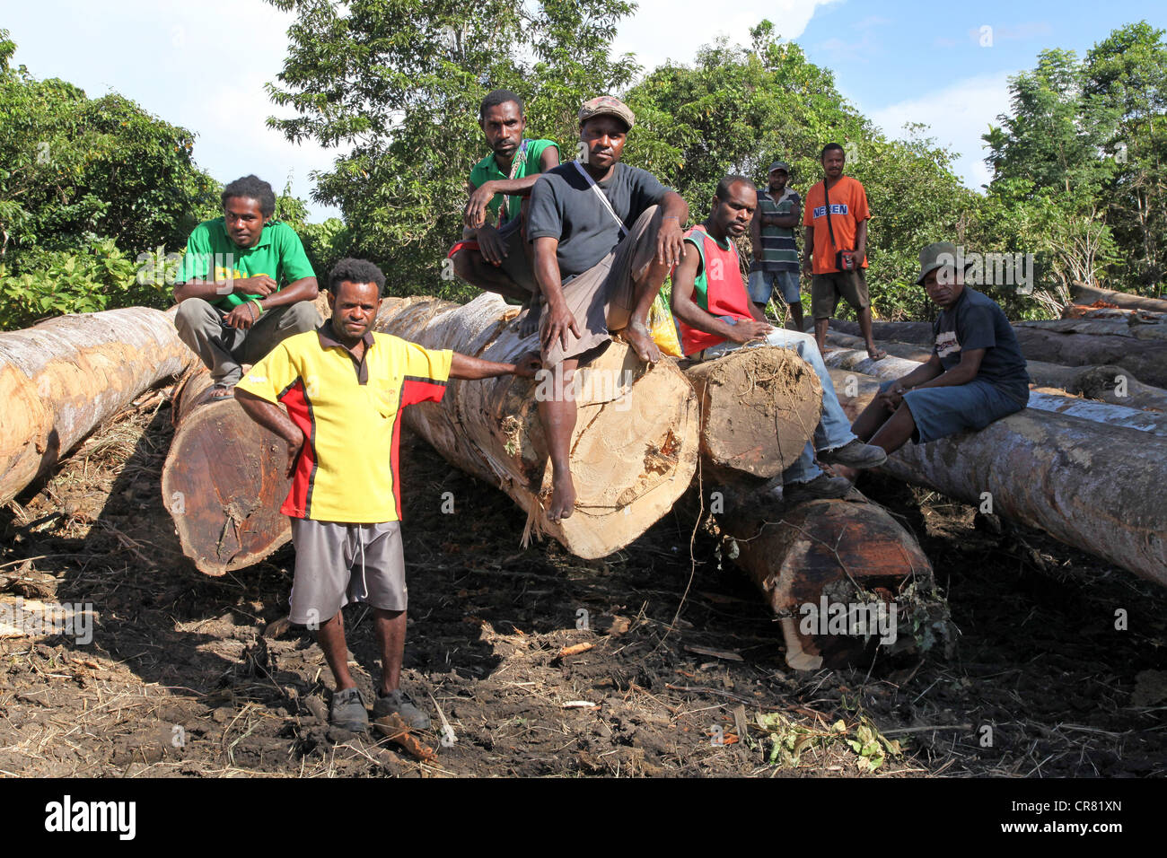 Waldarbeiter auf gefällten Baumstämme, Provinz Madang, Papua Neuguinea Stockfoto