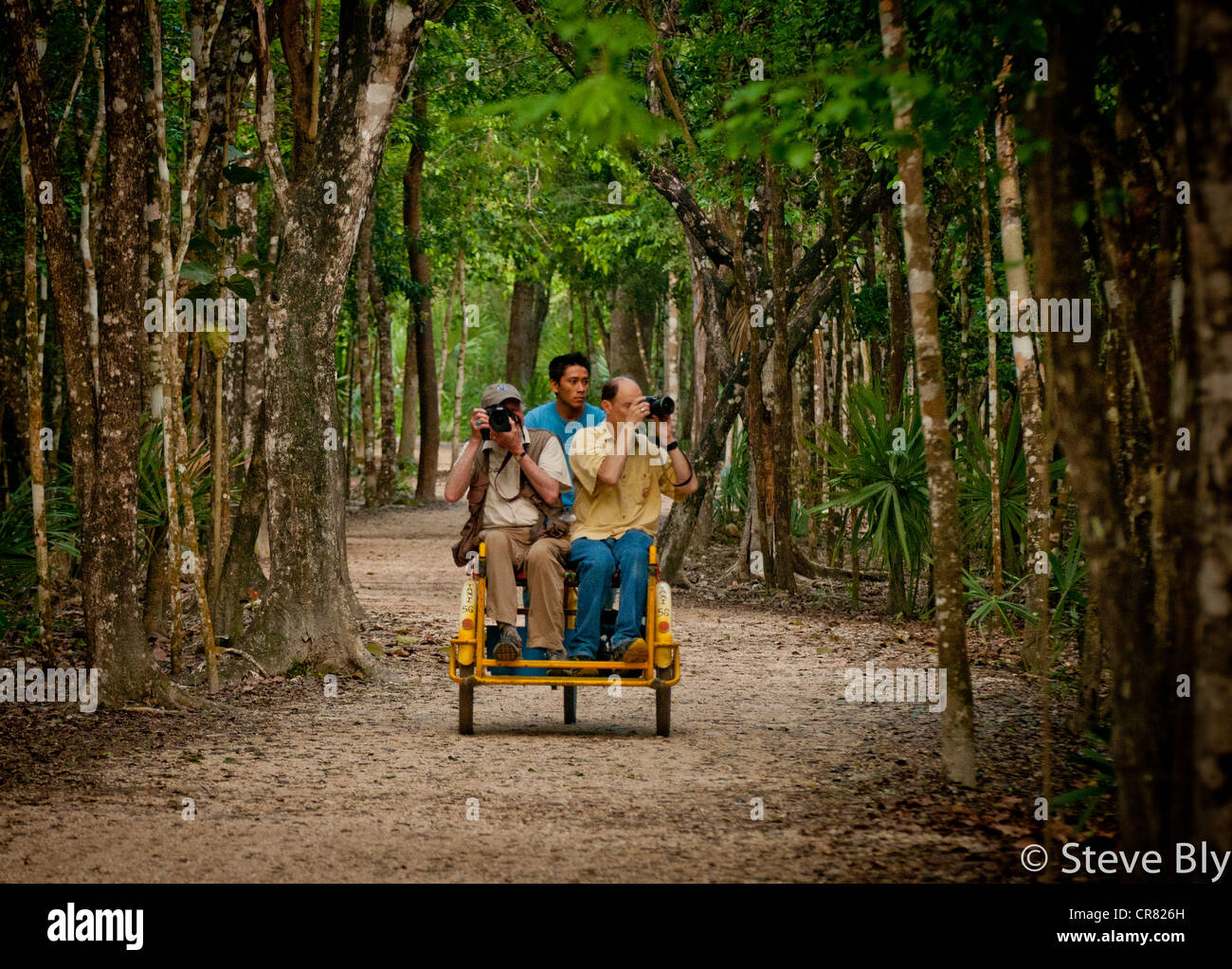 Touristen genießen Sie eine geführte eine Bi-Taxi-Tour durch die Coba Ruinen, Riviera Maya, Quintana Roo, Yucanta Halbinsel, Mexiko Stockfoto