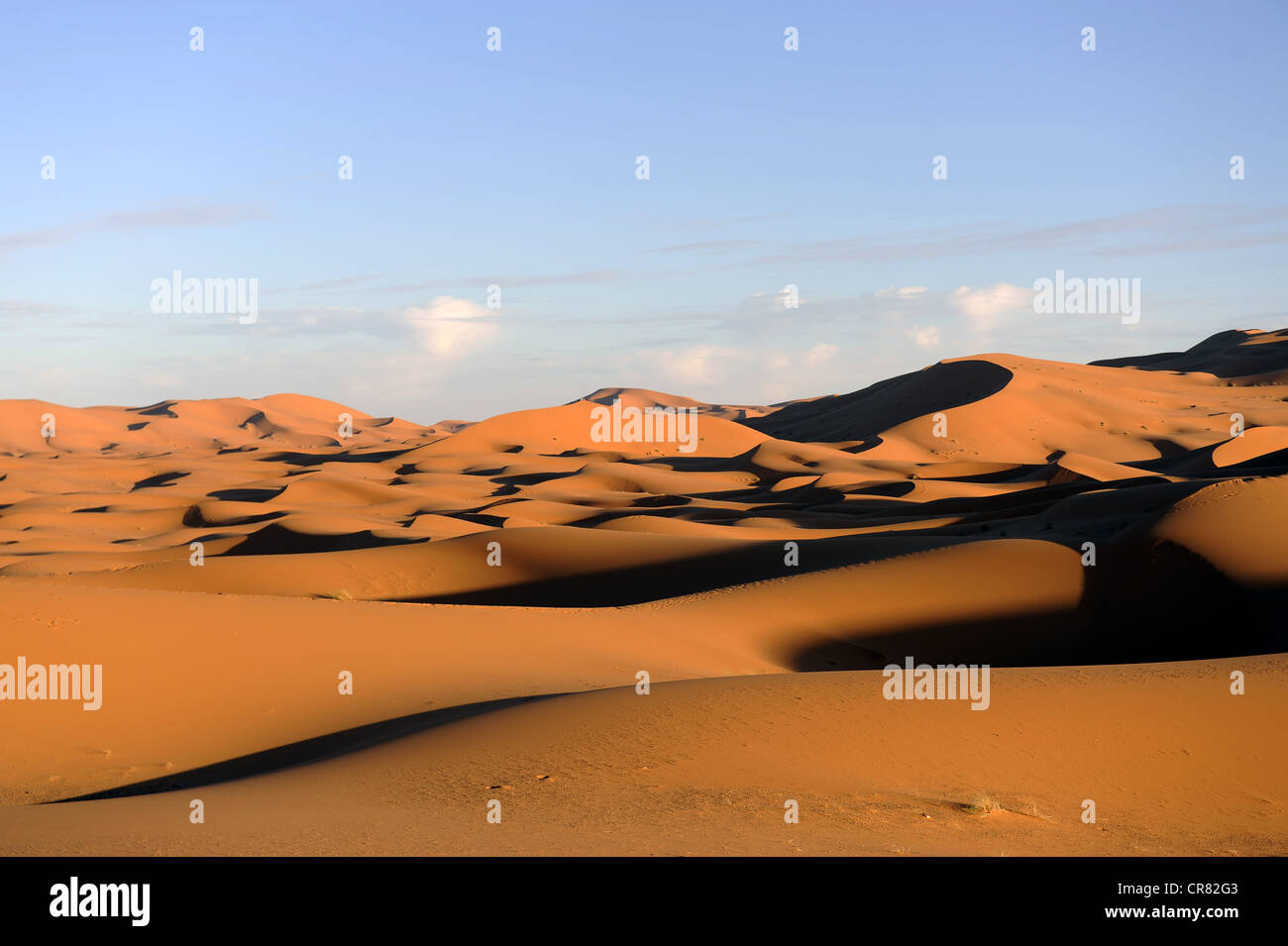 Sanddünen, sandige Wüste, Erg Chebbi, Wüste Sahara, Marokko, Nord-Afrika, Nordafrika, Afrika Stockfoto