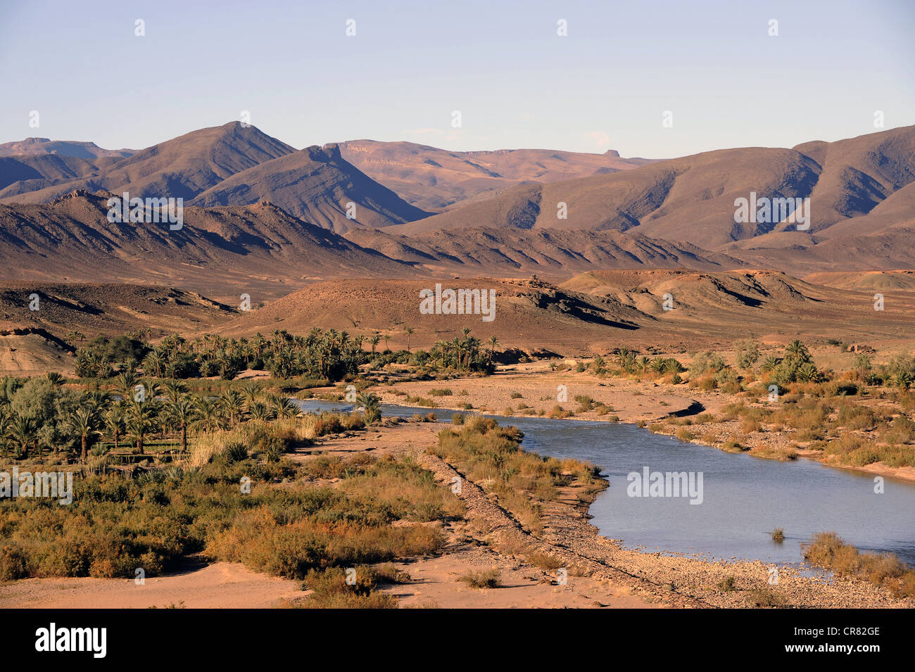 Draa-Tal in der Nähe von Zagora, Südmarokko, Marokko, Maghreb, Nordafrika, Afrika Stockfoto