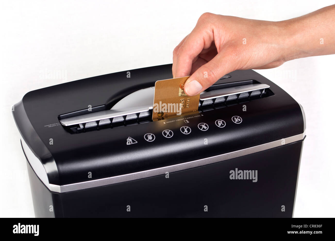 Weibliche Hand schneiden oder zerkleinern einer gold Kreditkarte mit einem schwarzen Shredder mit textfreiraum auf weißem Hintergrund isoliert. Stockfoto