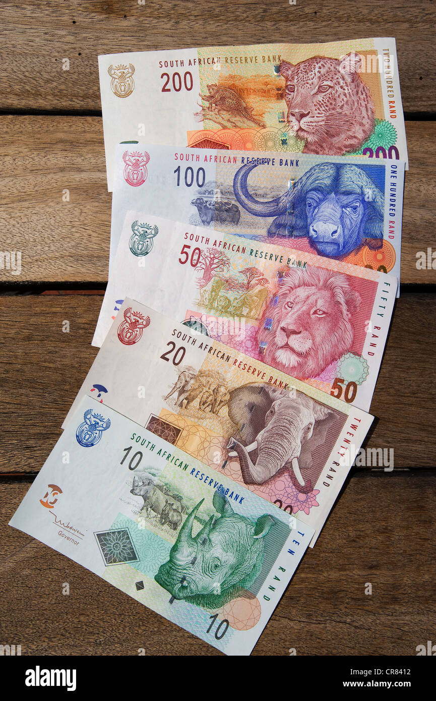 Südafrika, der Rand ist die lokale Währung, Banknoten mit den Big Five auf sie, die fünf großen Tiere sich in der Stockfoto