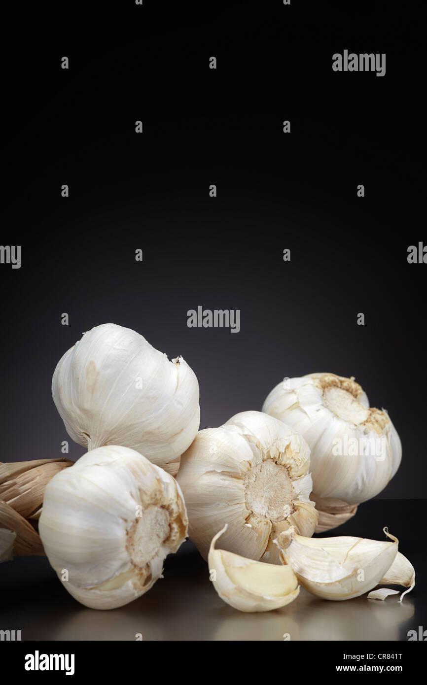 Knoblauch (Allium Sativum), auf einer dunklen Glasplatte, Gewürzpflanze, Heilpflanze Stockfoto