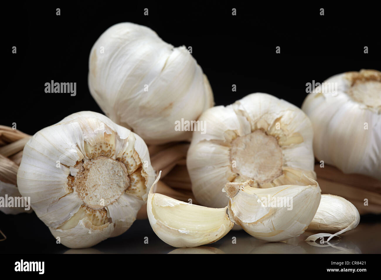 Knoblauch (Allium Sativum), auf einer dunklen Glasplatte, Gewürzpflanze, Heilpflanze Stockfoto