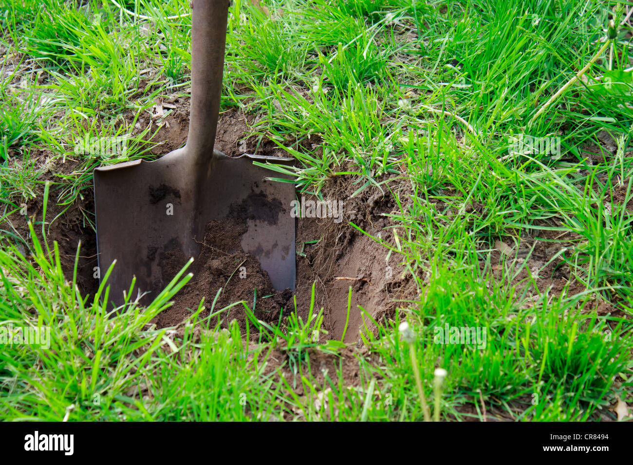 Garten spatenschaufel Fotos und Bildmaterial in hoher Auflösung Alamy