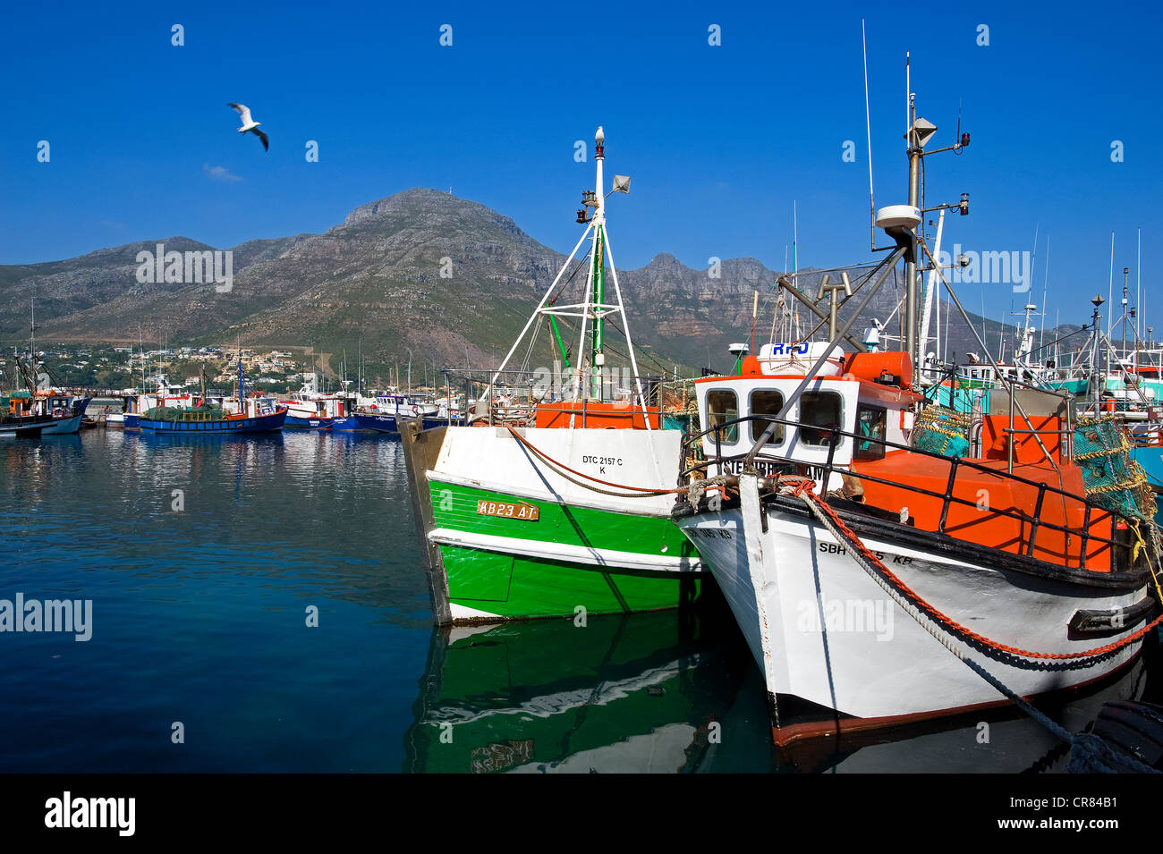 Südafrika, Western Cape, Cape Peninsula, Hout Bay, Fischerhafen Stockfoto