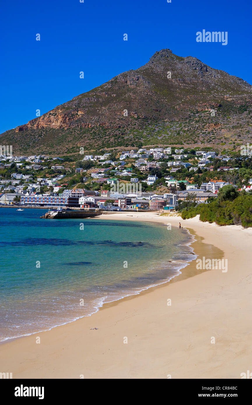 Südafrika, Western Cape, Cape Peninsula, Simonstown, Strand Stockfoto