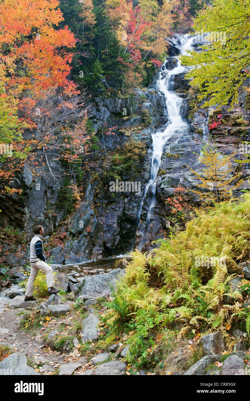 Vereinigte Staaten, New England, New Hampshire, White Mountains National Forest, Hart es Location, Silber Kaskade Stockfoto