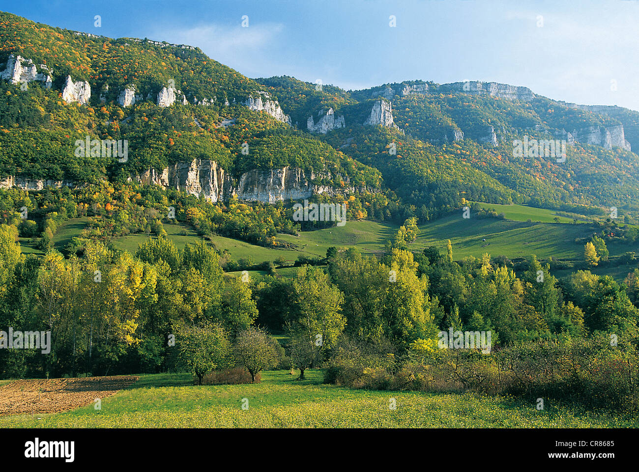 Frankreich, Aveyron, Riviere Sur Tarn und Tarn-Tal im Herbst Causse Noir Gesimse Stockfoto