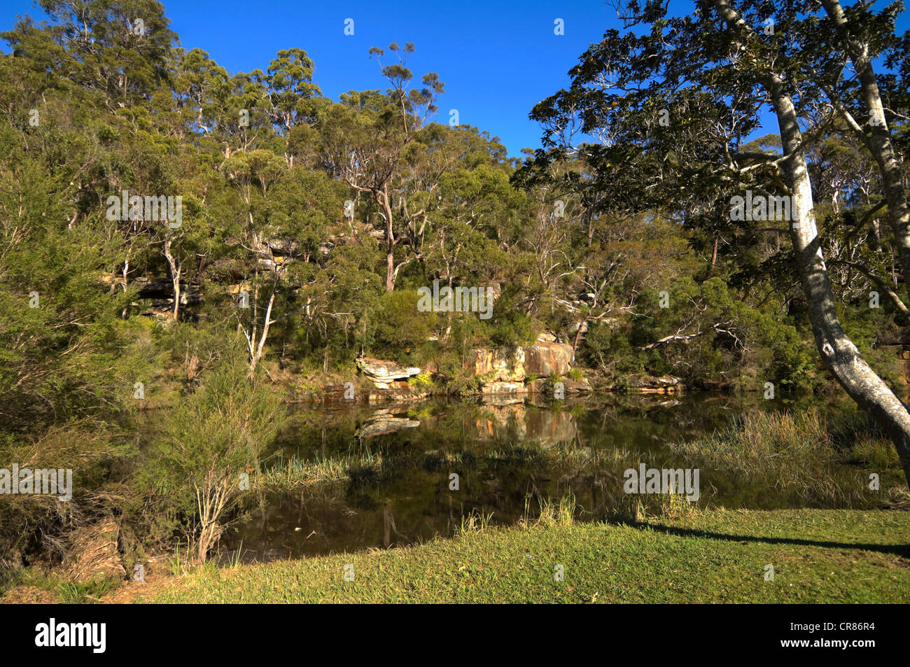 Audley Weir, Royal National Park, Sydney, New South Wales, Australien Stockfoto