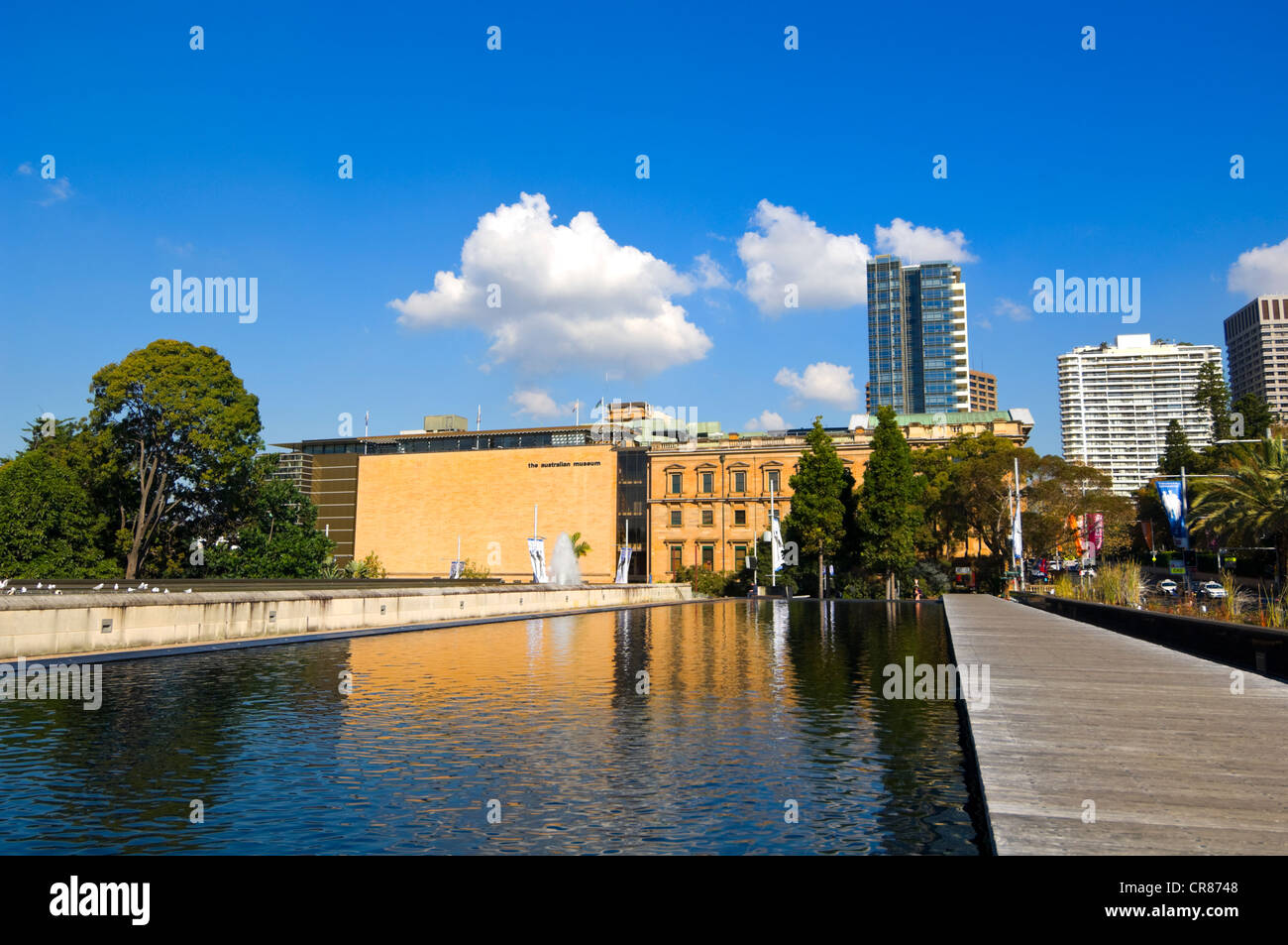 Das Australian Museum, Sydney, New South Wales, Australien Stockfoto