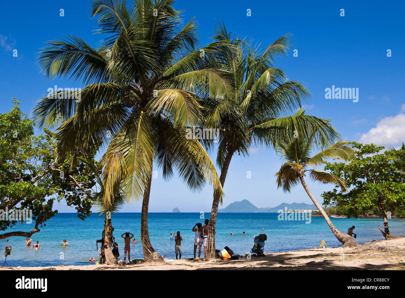 France, Martinique (Französische Antillen), Anse Figuier, Strand Stockfoto