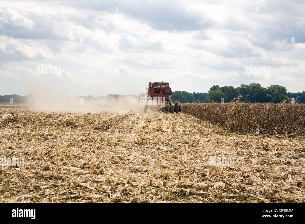 Mähdrescher bei der Arbeit in einem Feld Stockfoto