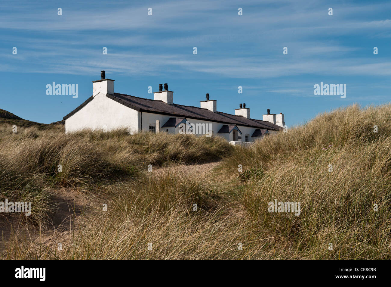 Piloten auf dem Land auf Llanddwyn Insel Anglesey North Wales Stockfoto