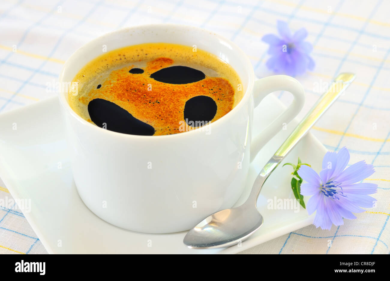 Chicorée Heißgetränk Stockfoto