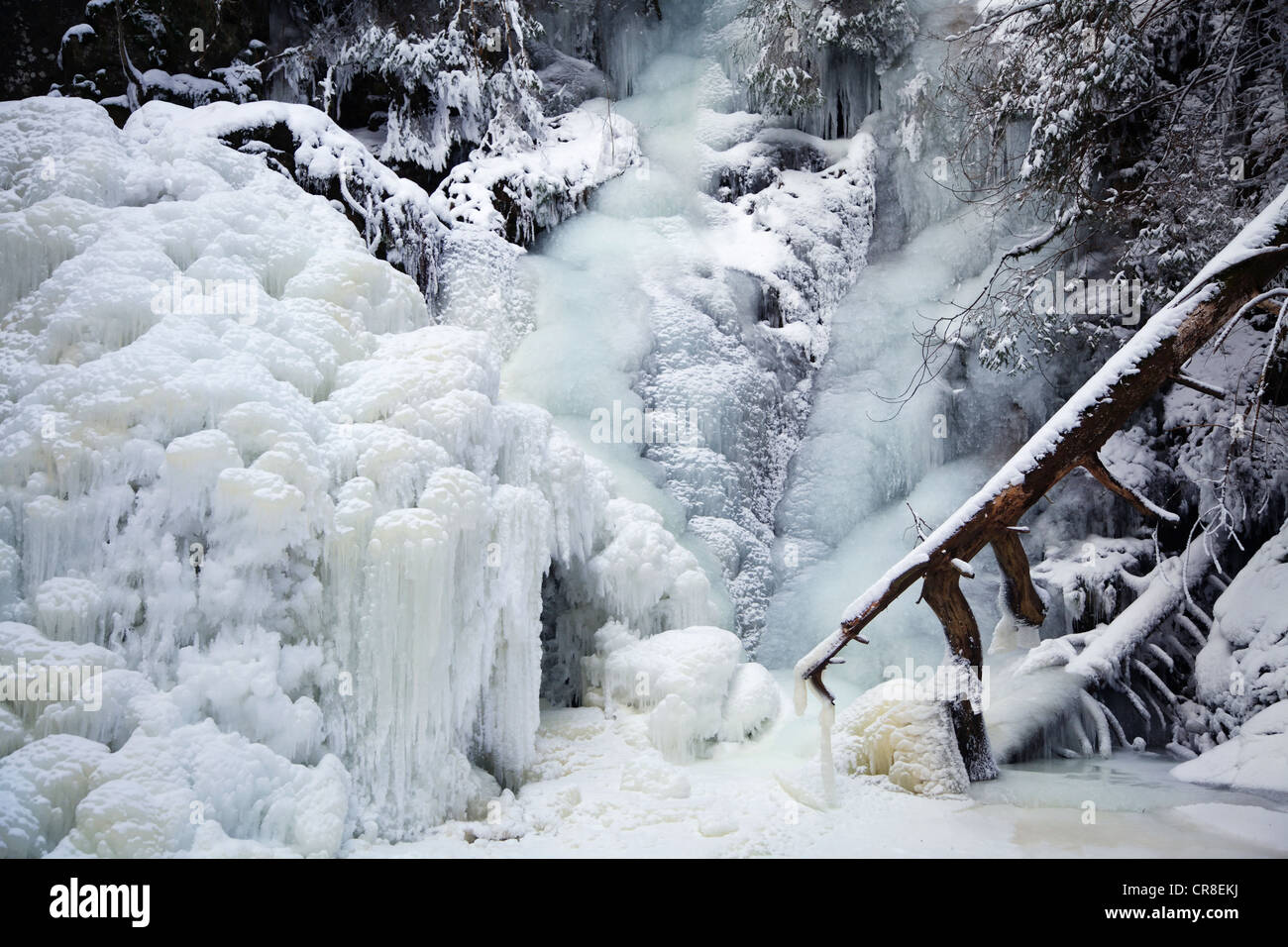 Falkau Wasserfall, vollständig gefroren, Falkau, Mt Feldberg, Schwarzwald, Baden-Württemberg, Deutschland, Europa Stockfoto