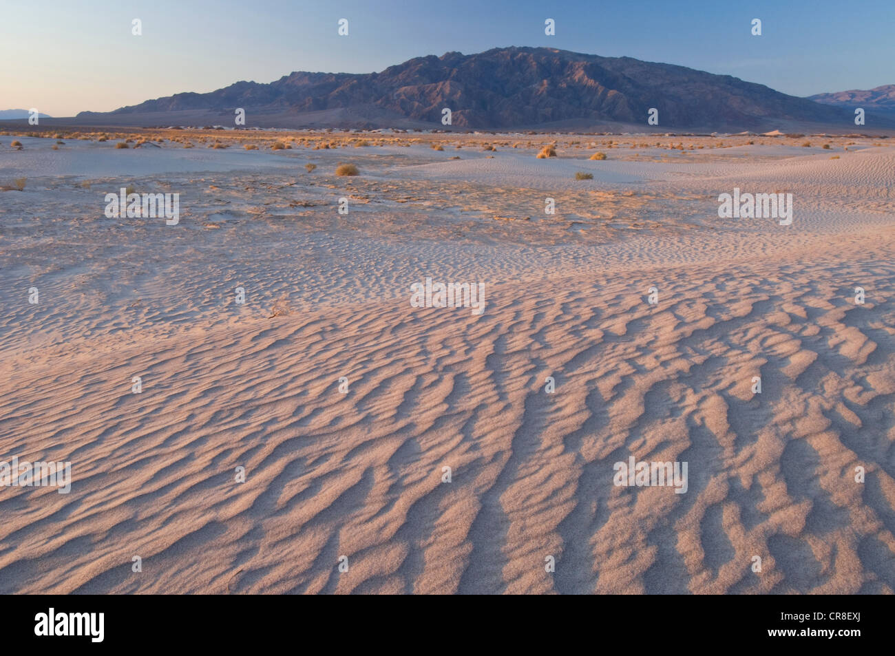 Sanddünen im Death Valley Nationalpark, Kalifornien, USA Stockfoto