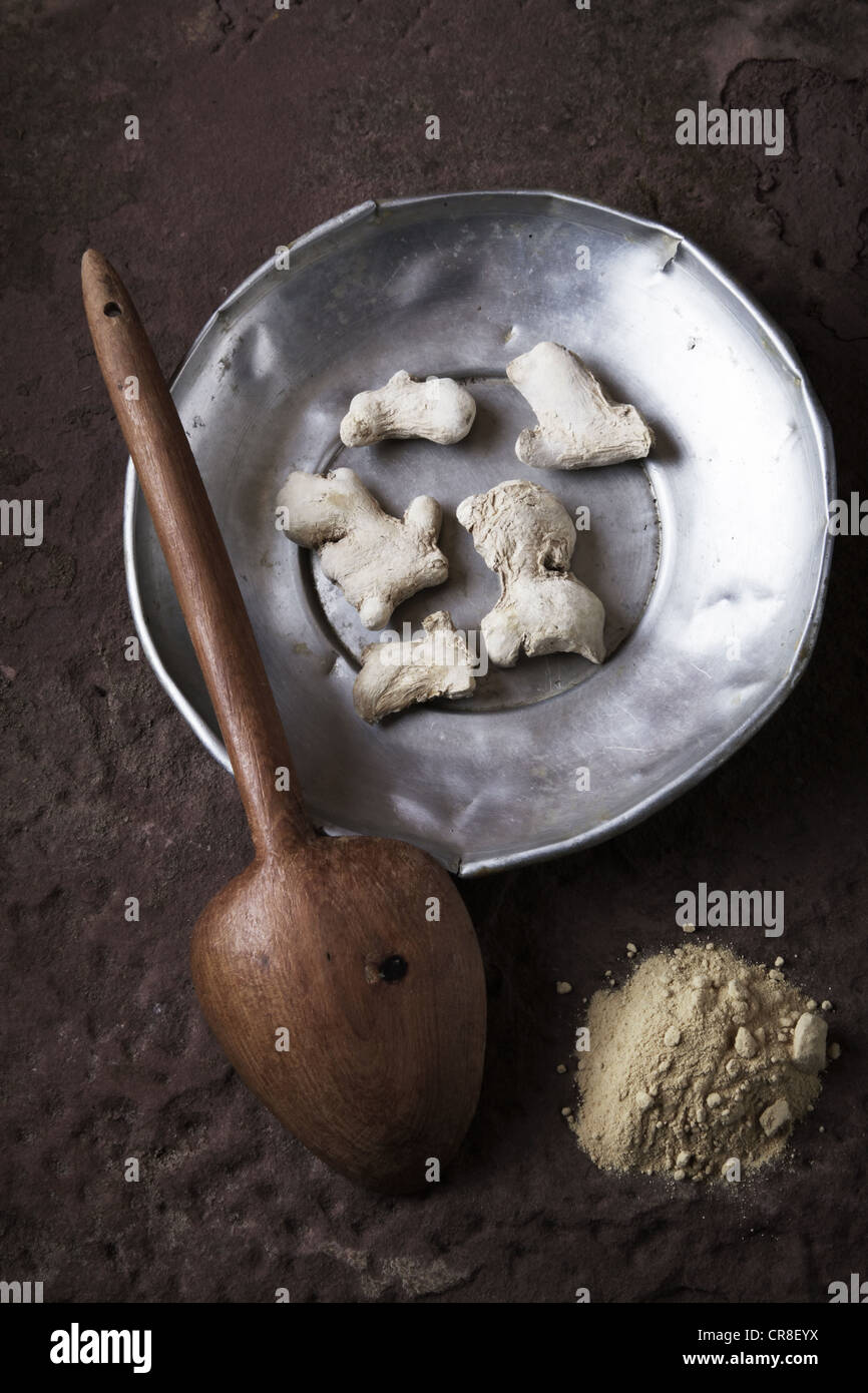 Ingwer (Zingiber Officinale) Wurzeln auf einem Zinn-Teller mit einem Holzlöffel und gemahlener Ingwer auf eine Steinoberfläche Stockfoto