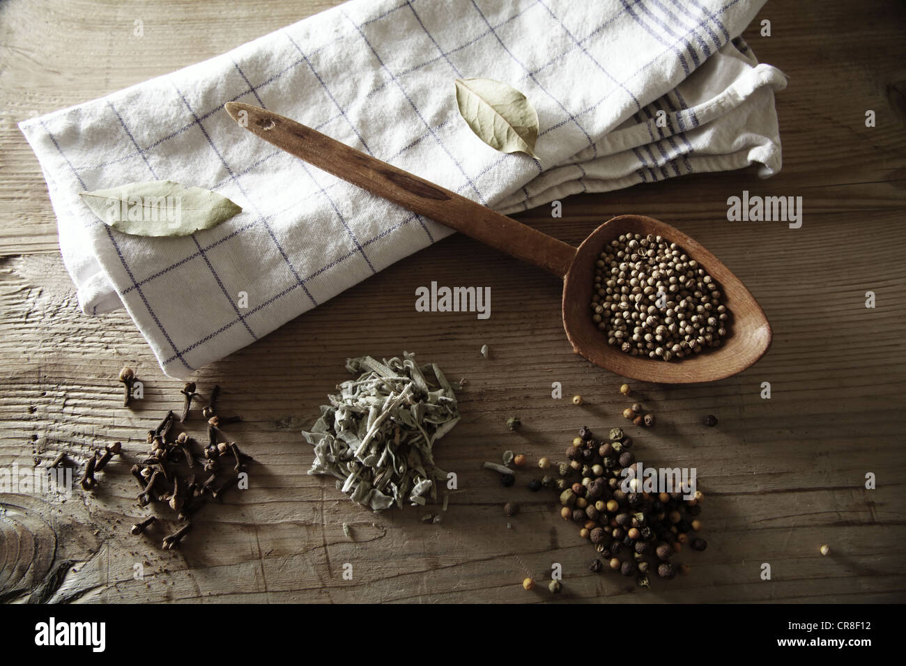 Koriander (Coriandrum Sativum), Pfefferkörner (Piper Nigrum), Salbei (Salvia) und getrocknete Gewürznelke (Syzygium Aromaticum) mit einem Holzkreuz Stockfoto