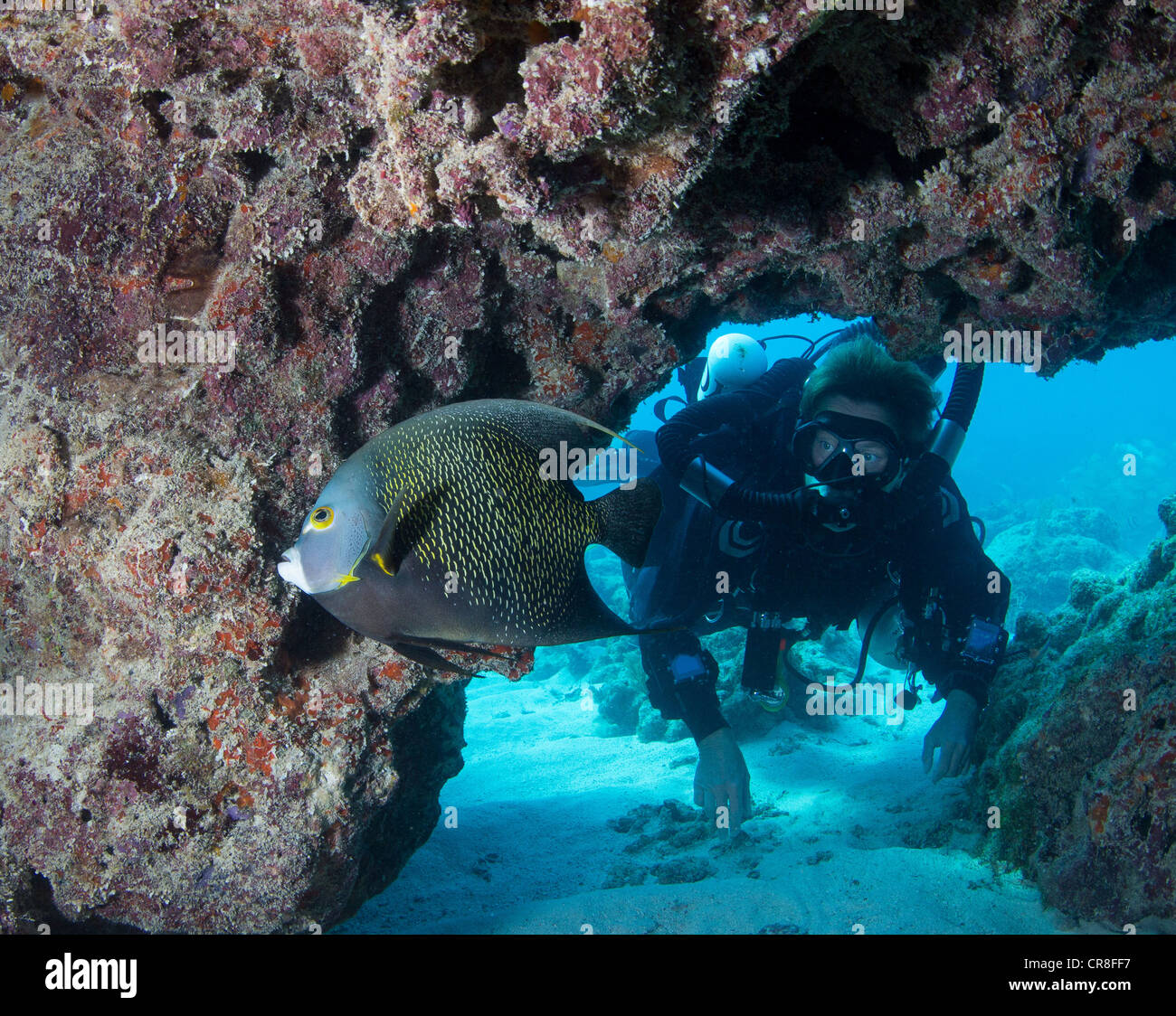 Auf Rebreather Taucher Stockfoto