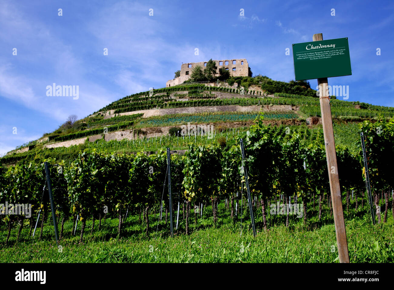 Schloss Burg Staufen Stockfotos und bilder Kaufen Alamy