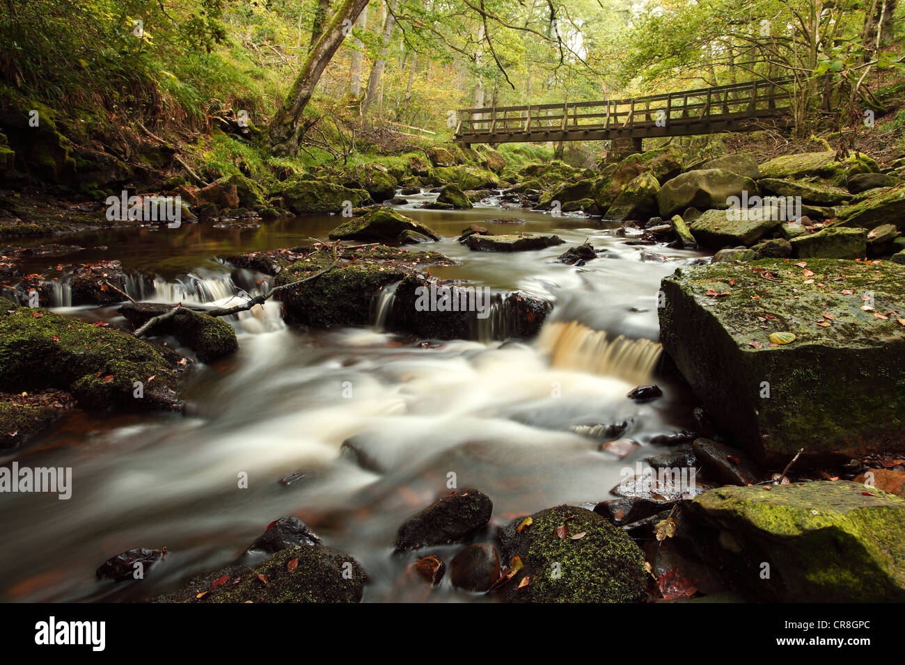 Herbst im Westen Beck, in der Nähe von Goathland in den North York Moors Stockfoto