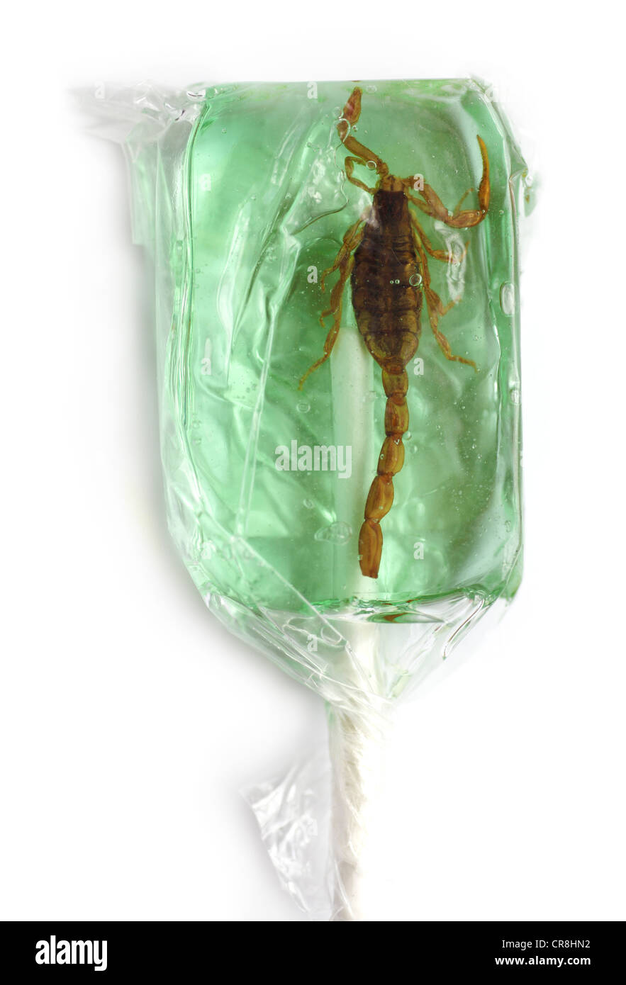 Scorpion-Lollipop Stockfoto