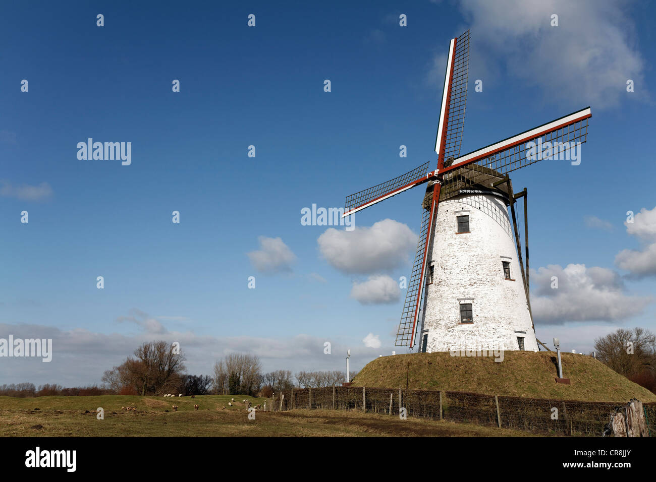Windmühle, Schellemolen aus dem Jahr 1867, Damme, West-Flandern, Belgien, Europa Stockfoto