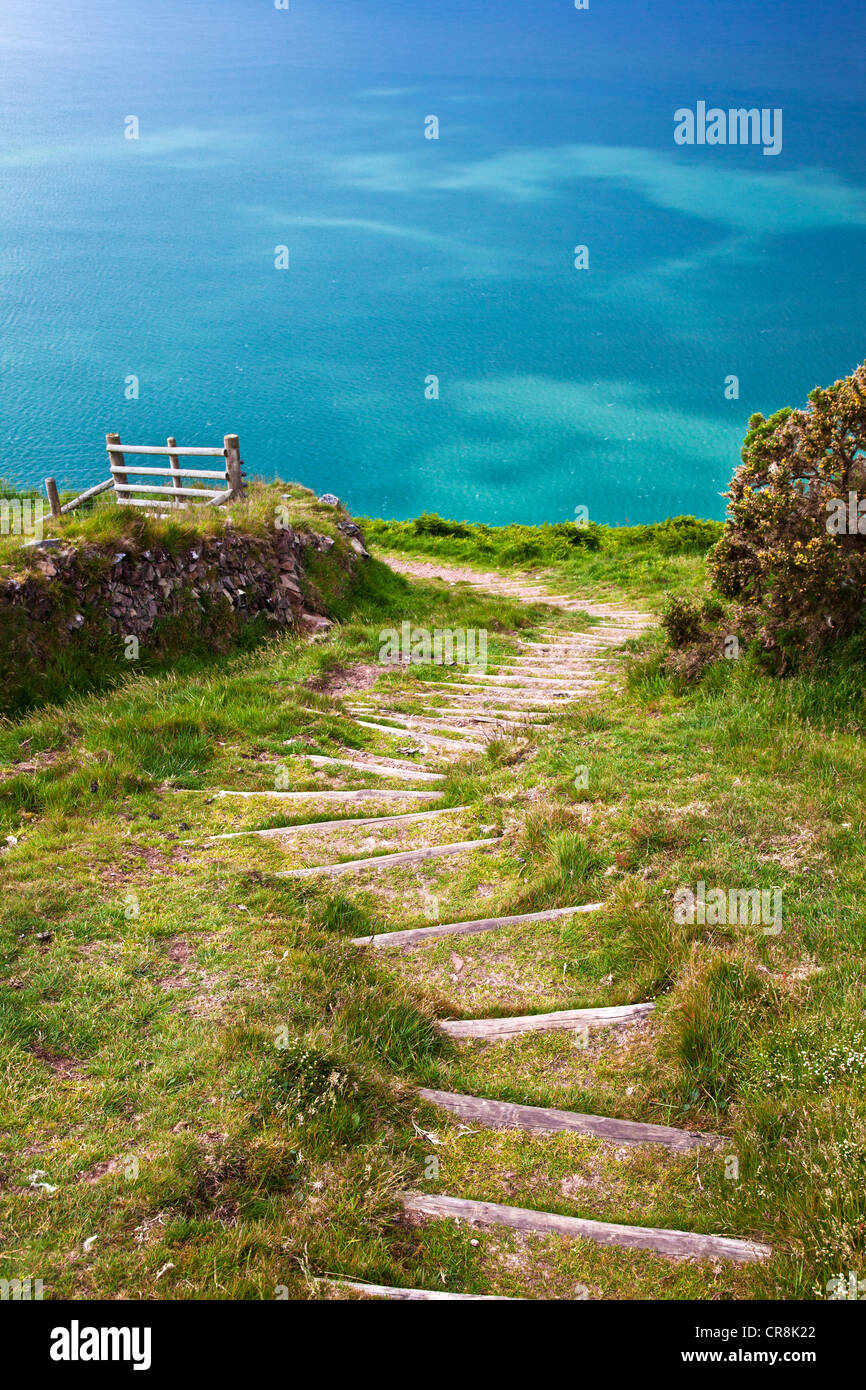 Hölzerne Stufen schneiden in einen steilen Abschnitt von der Süd-West Coast Path in der Nähe von Lynton und Lynmouth, North Devon, England, UK Stockfoto