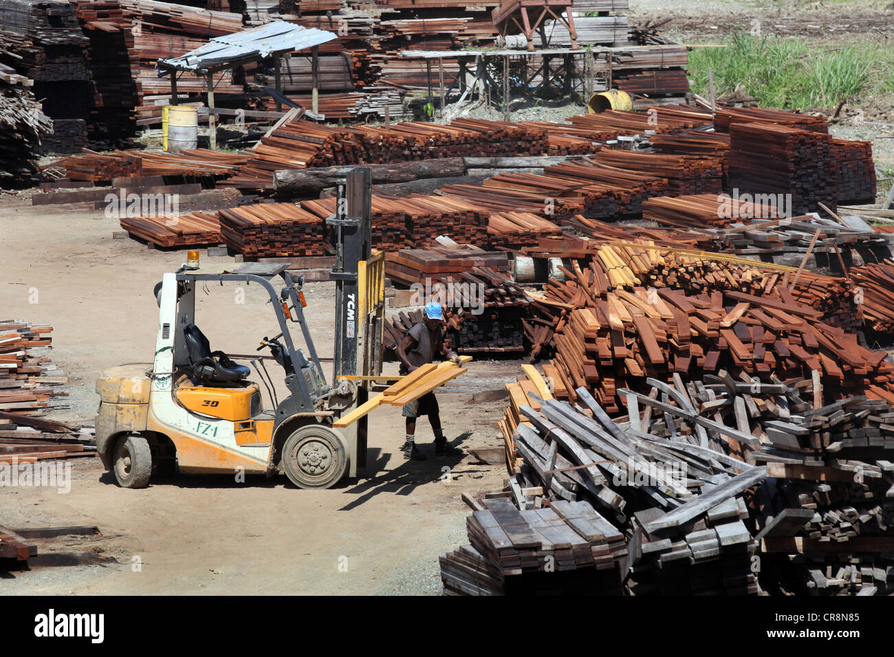 Sägewerk, Holz verarbeitenden Fabrik Santi Forstwirtschaft, Madang, Papua Neuguinea Stockfoto