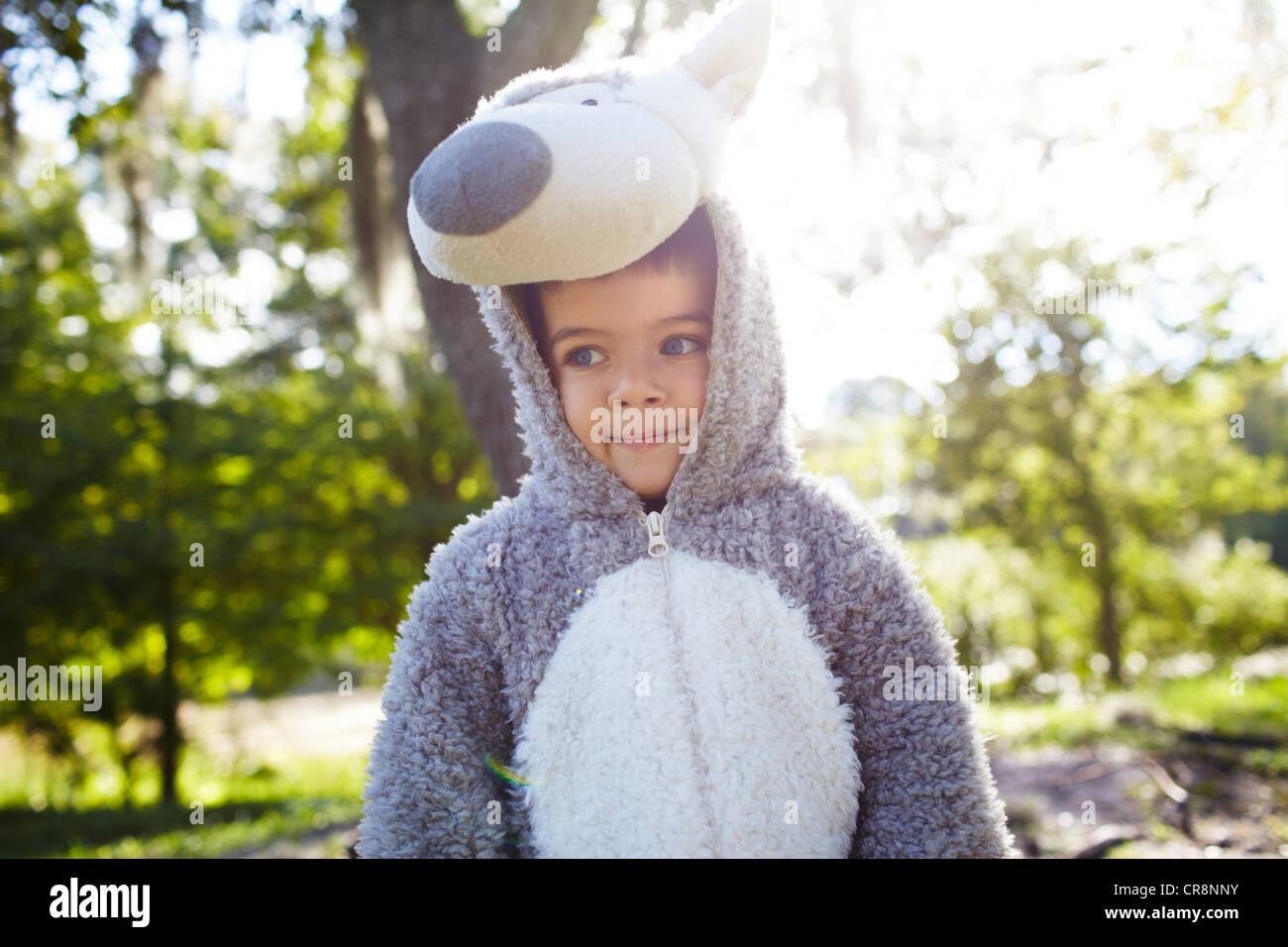 Junge in einem Wolf Kostüm Stockfoto