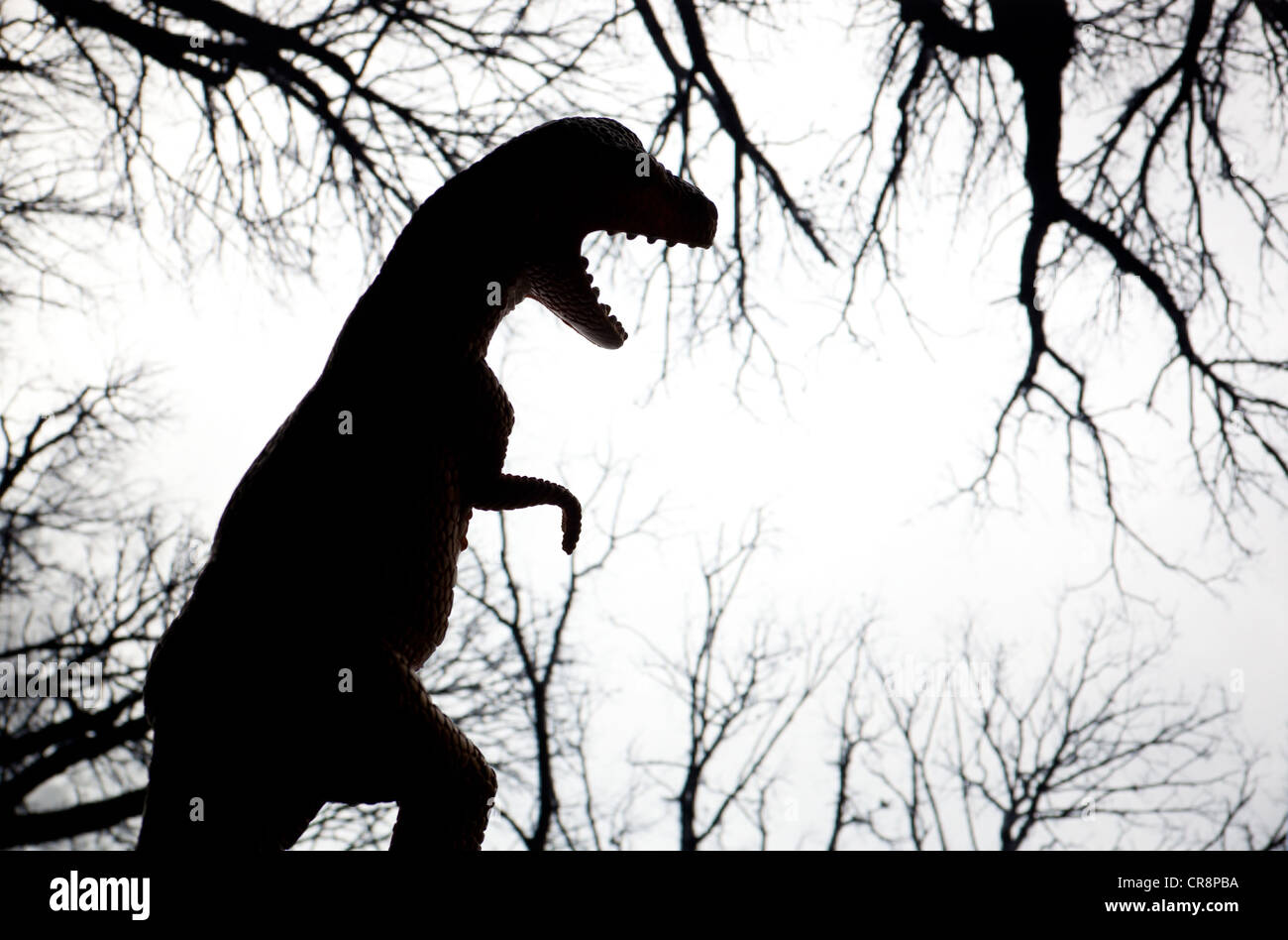 Silhouette des T-Rex Dinosaurier und Bäume Stockfoto