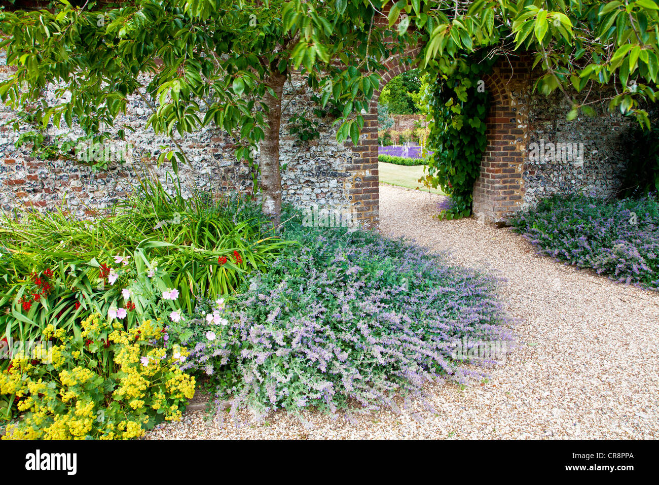 Katzenminze oder Nepeta grenzt einen Kiesweg führt durch einen Torbogen in eine Wand in einem englischen Landhaus-Garten. Stockfoto