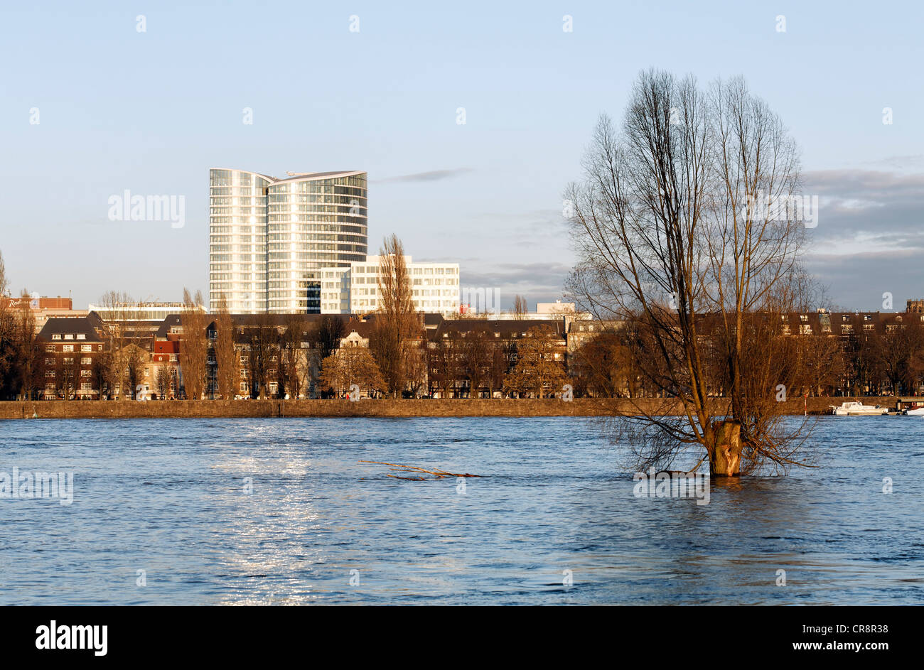 Das Rheinufer mit dem Sky Office Tower building, Hochwasser im Winter in Düsseldorf, Nordrhein-Westfalen Stockfoto