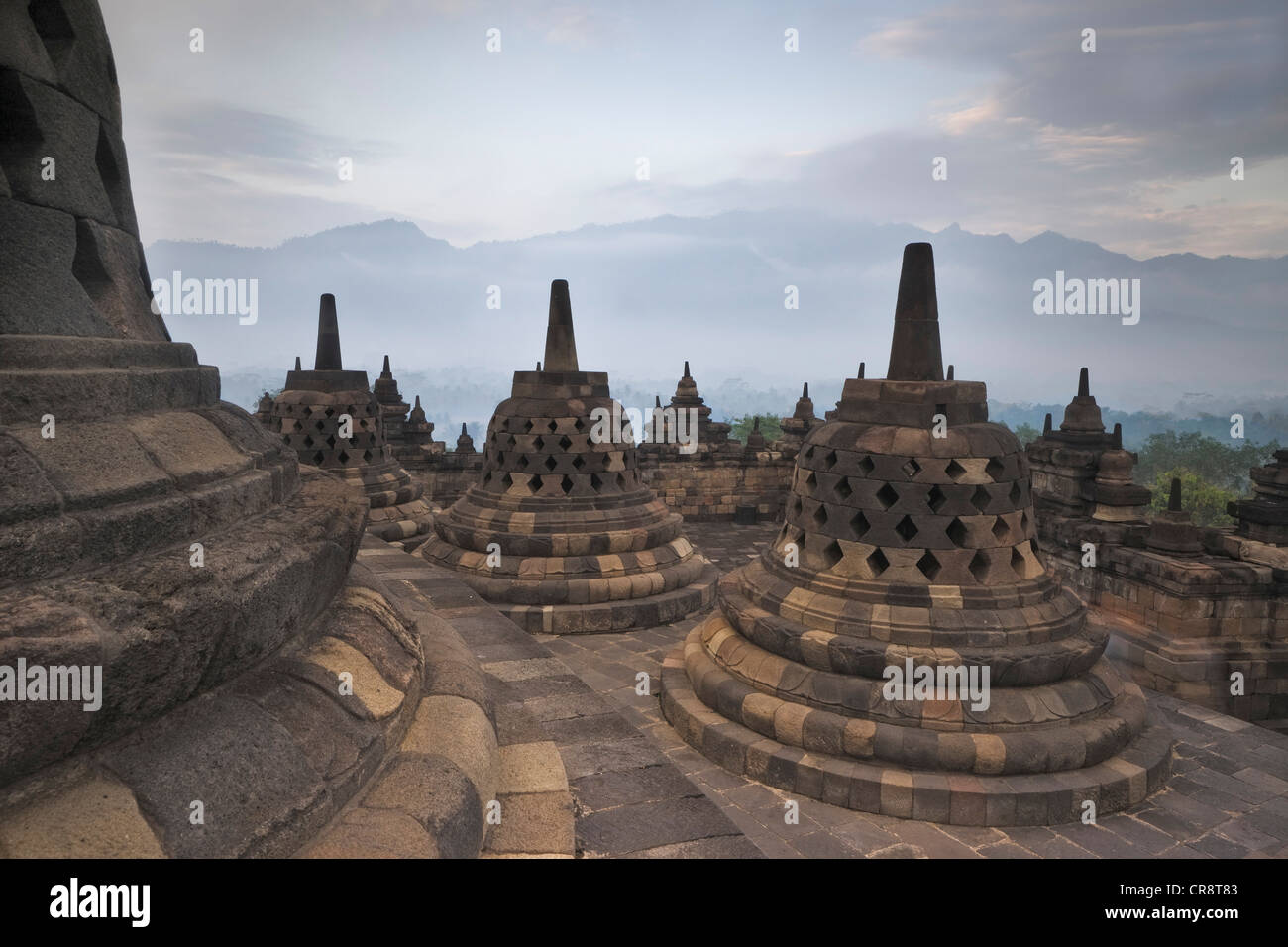 Stupas in der Morgendämmerung, buddhistische Tempel Borobudur, Borobudur, Java, Indonesien, Südostasien, Asien Stockfoto