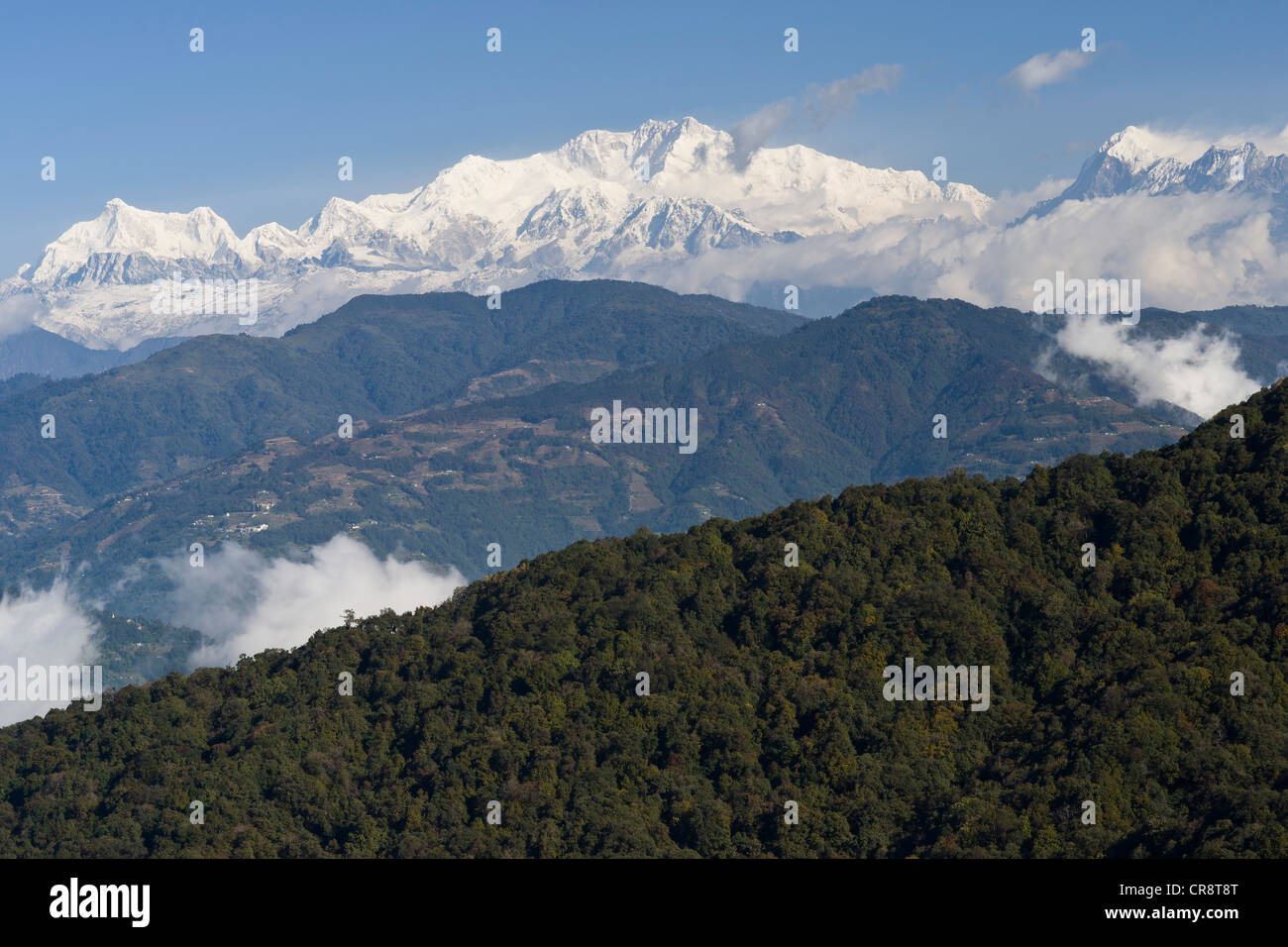 Blick vom West Bengalen, Indien, in Richtung der Kangchenjunga an der Grenze zwischen Sikkim und Nepal, Asien Stockfoto