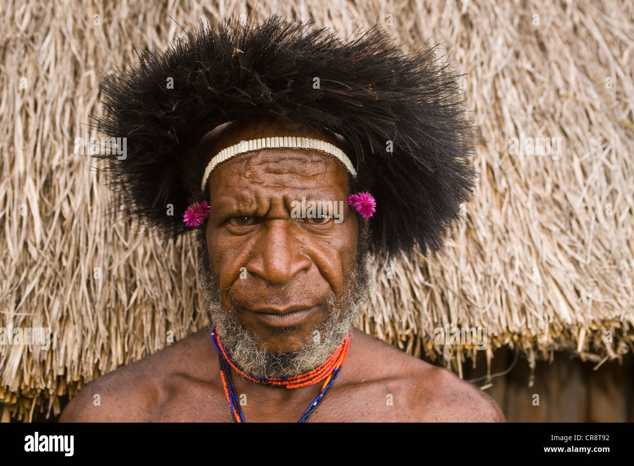 Mann vom Stamm Dani, Porträt, Baliem-Tal, West-Papua, Western-Neu-Guinea, Indonesien, Asien Stockfoto