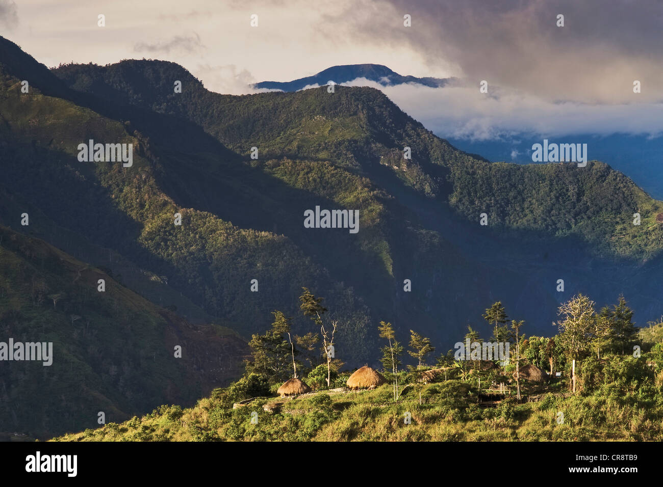 Traditionelles Dorf im Baliem Tal im Morgenlicht, West-Papua, West-Neuguinea, Indonesien, Asien Stockfoto