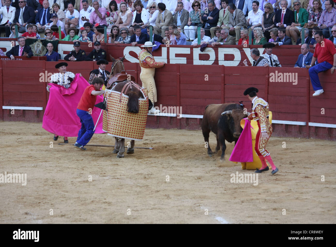 Stierkampf in Jerez in Spanien. Drittes Bild der Sequenz von drei Stockfoto